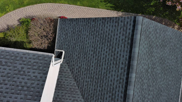 Best Roof Moss and Algae Removal  in Sulphur Springs, TX