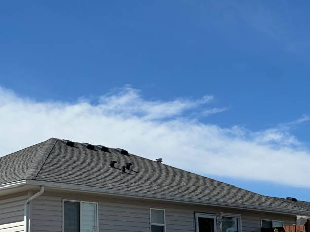 Best Asphalt Shingles Roofing  in Sulphur Springs, TX